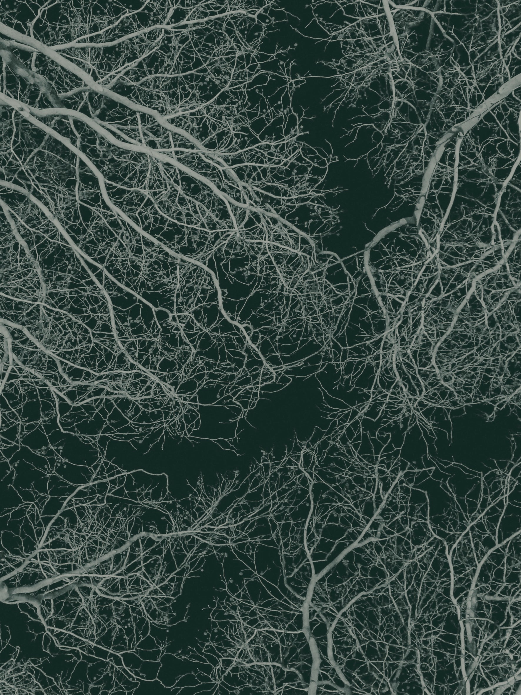 GROUNDING